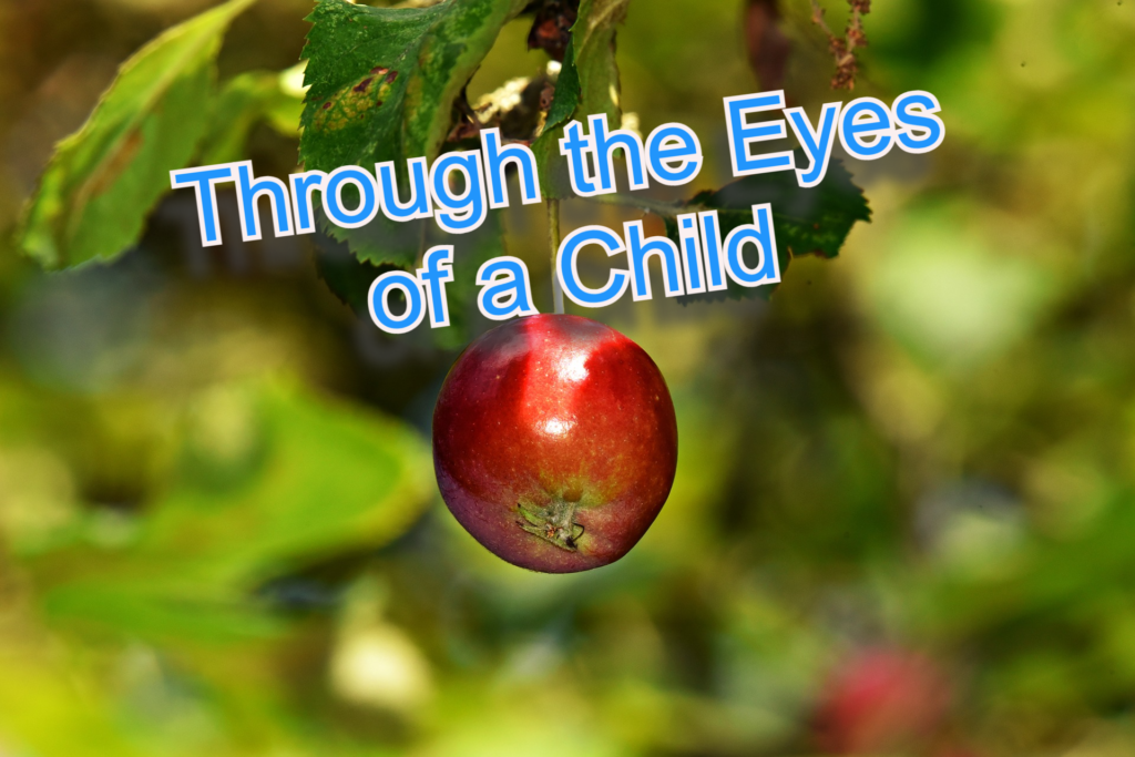 Through the Eyes of a Child