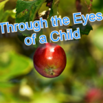 Through the Eyes of a Child