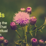 Weeds: Controlling the Invaders That Stump Spiritual Growth