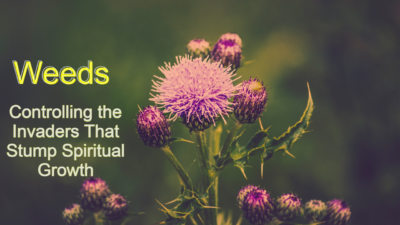 Weeds: Controlling the Invaders That Stump Spiritual Growth