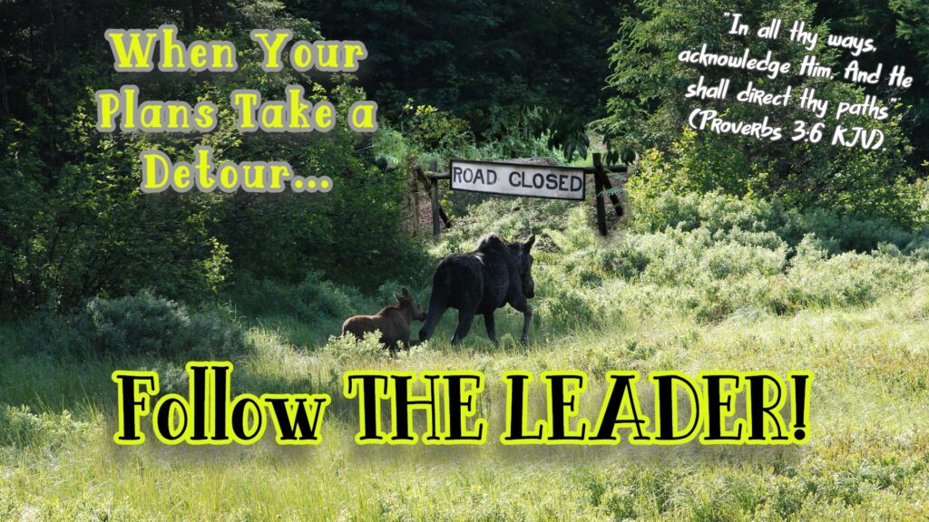 When Your Plans Take a Detour, Follow THE LEADER!