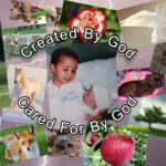 Created By God. Cared For By God.