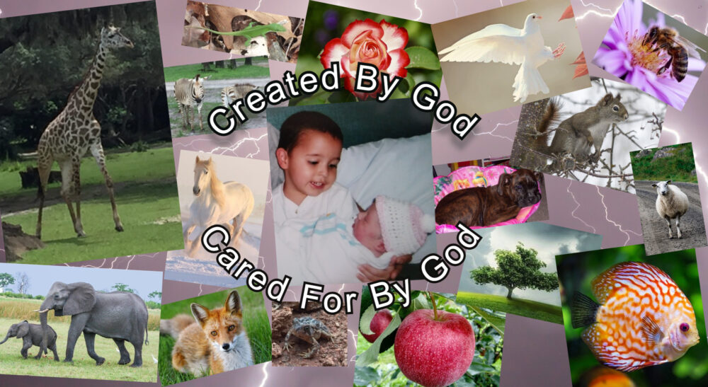 Created By God. Cared For By God.