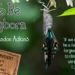 To Be Reborn