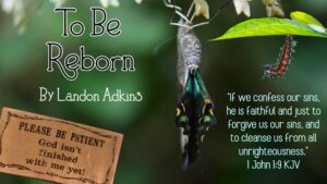 Read more about the article To Be Reborn