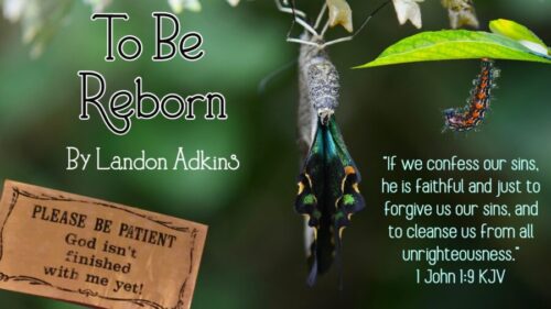 Read more about the article To Be Reborn