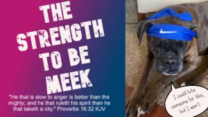 Read more about the article The Strength To Be Meek