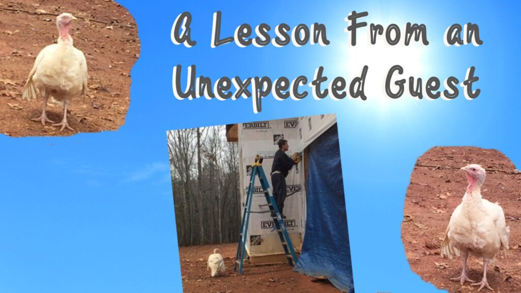 A Lesson From an Unexpected Guest