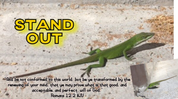 You are currently viewing Stand Out