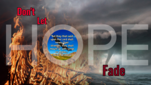 Read more about the article Don’t Let Hope Fade