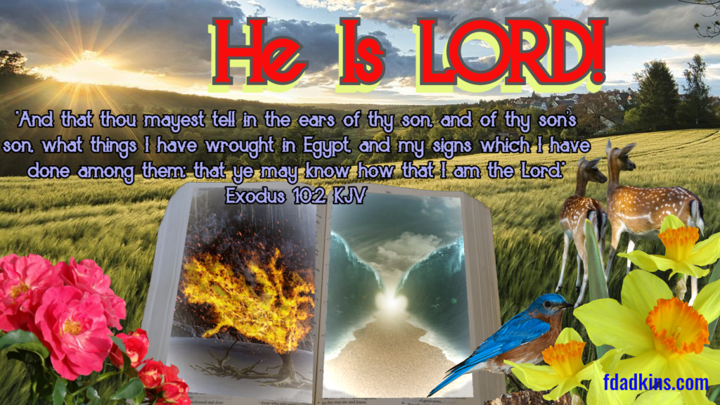 He Is LORD