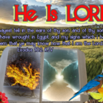 He Is LORD