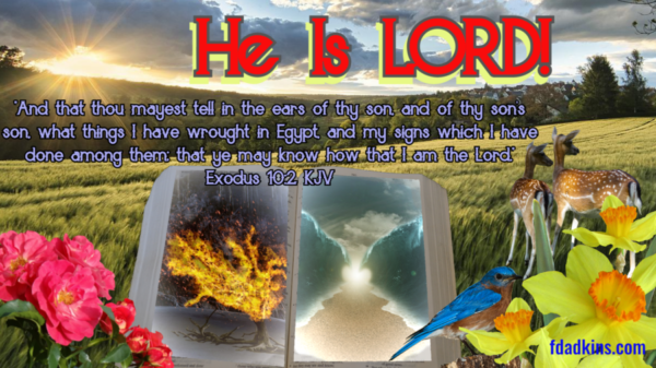 You are currently viewing He Is LORD