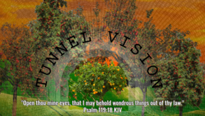 Read more about the article Tunnel Vision