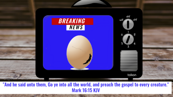 Read more about the article Breaking News