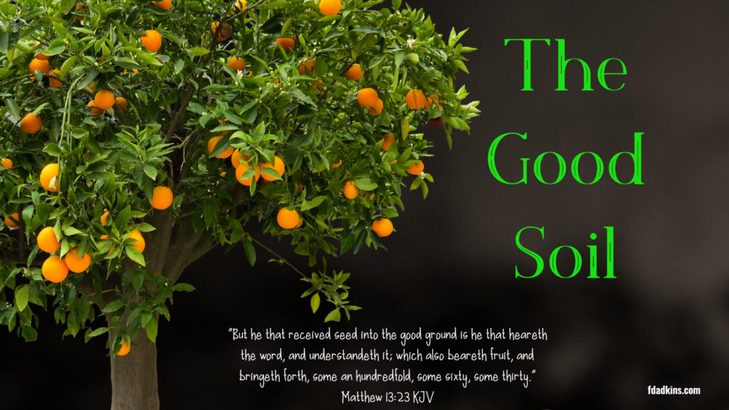 The Good Soil