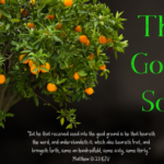 The Good Soil