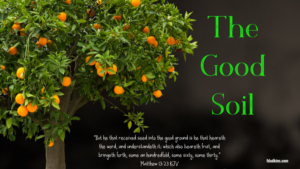 Read more about the article The Good Soil