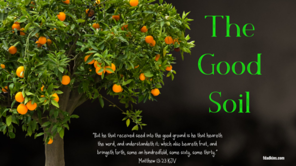 You are currently viewing The Good Soil