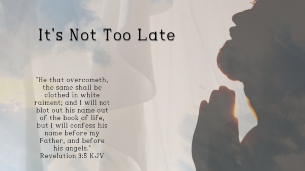 Read more about the article It’s Not Too Late