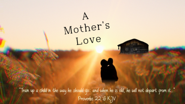 Read more about the article A Mother’s Love