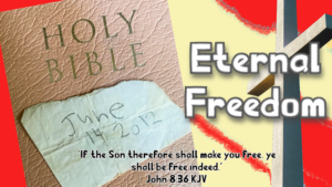 Read more about the article Eternal Freedom