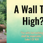 A Wall Too High?