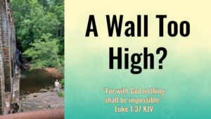 Read more about the article A Wall Too High?