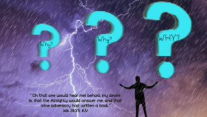 Read more about the article Why? Why? WHY?