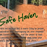 Safe Haven