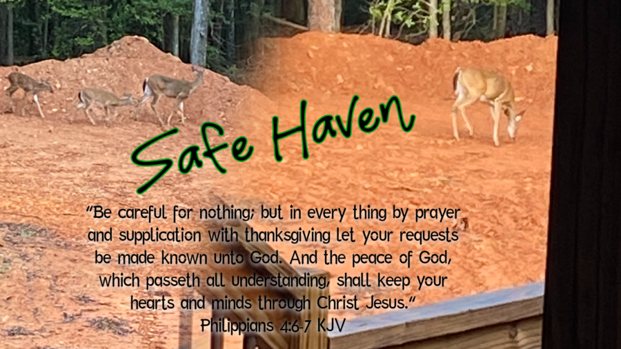 Safe Haven