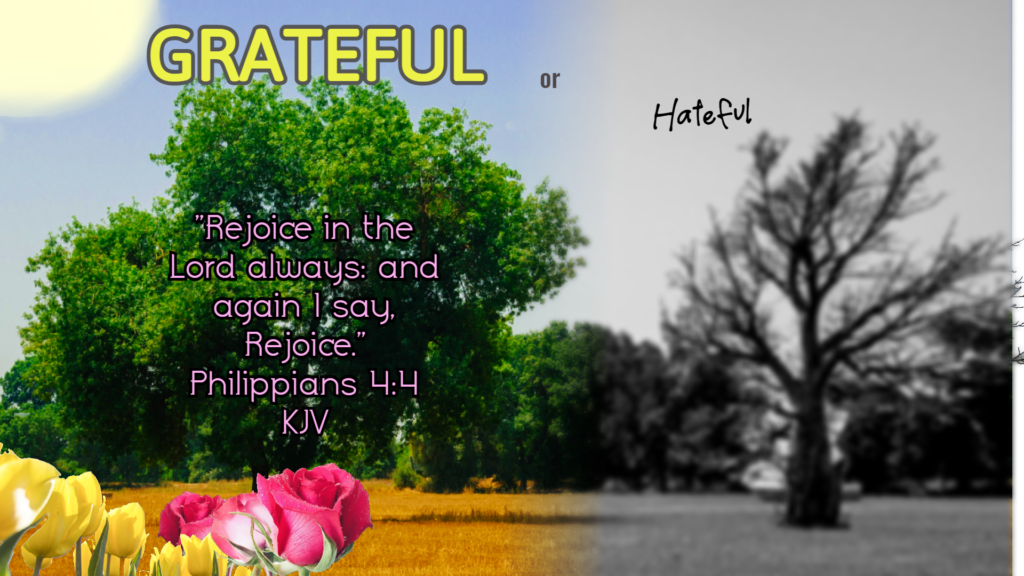 Grateful Or Hateful