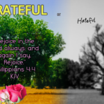 Grateful Or Hateful