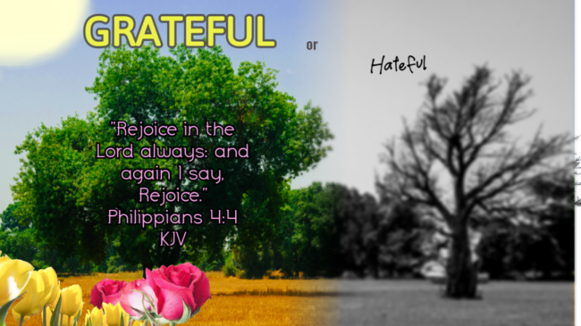 Read more about the article Grateful Or Hateful