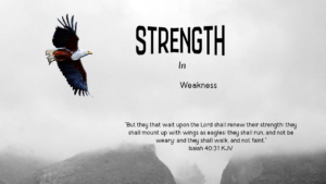 Read more about the article STRENGTH In Weakness