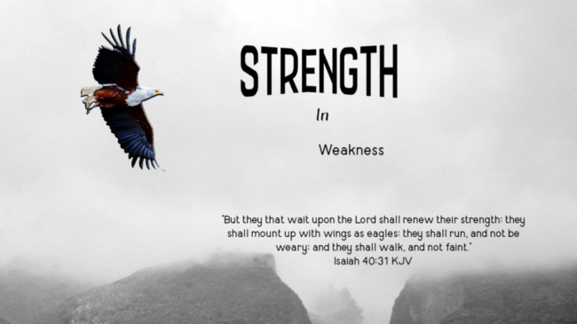You are currently viewing STRENGTH In Weakness