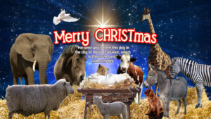 Read more about the article Merry CHRISTmas