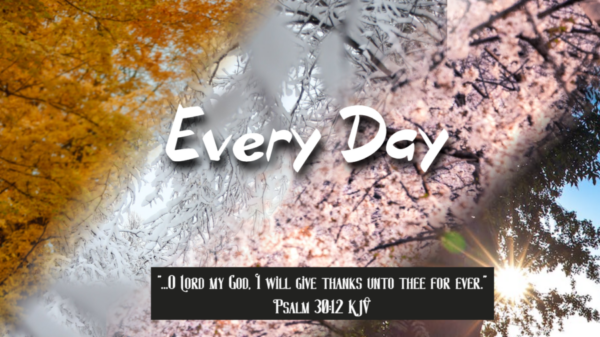 Read more about the article Every Day