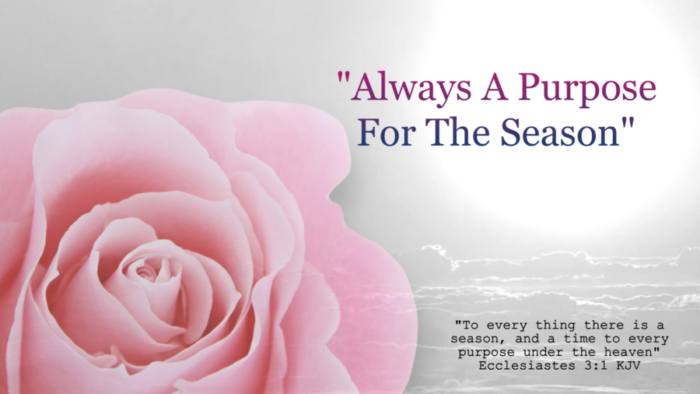 Read more about the article Always A Purpose For The Season