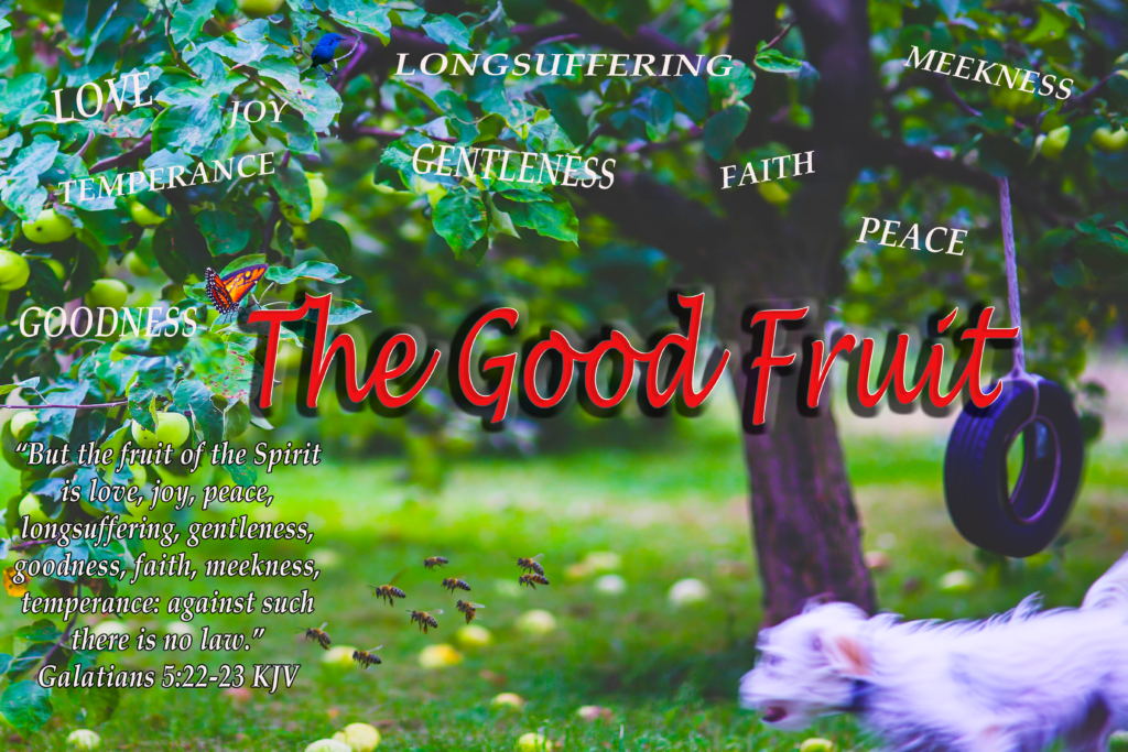 The Good Fruit