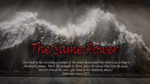 Read more about the article The Same Power