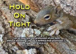 Read more about the article Hold On Tight