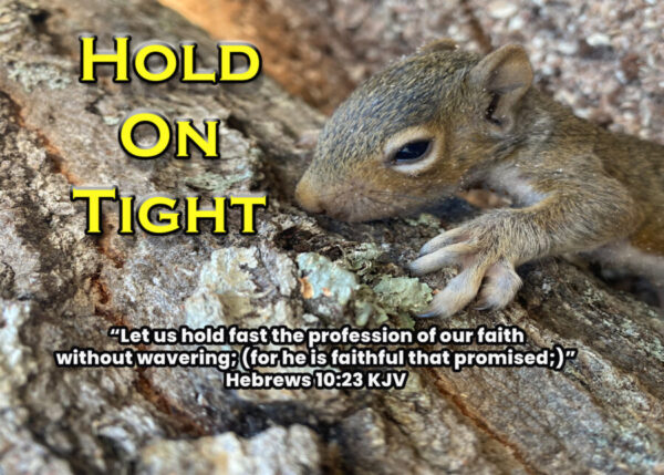 You are currently viewing Hold On Tight