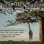 Under HIS Shadow