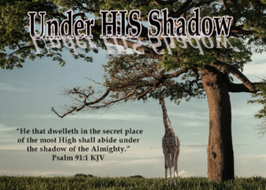 Read more about the article Under HIS Shadow