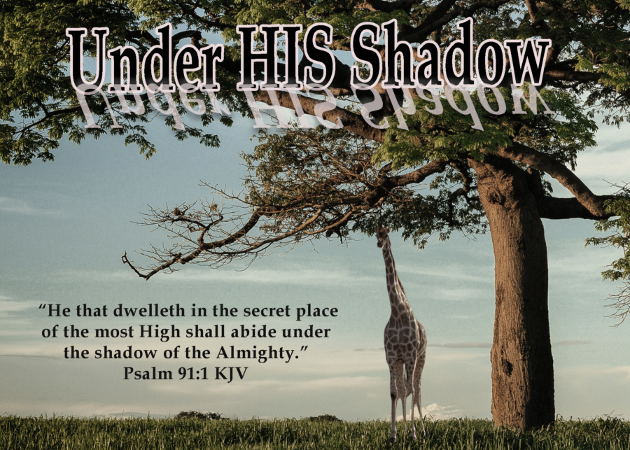 Under HIS Shadow