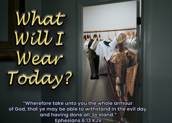 Read more about the article What Will I Wear Today?