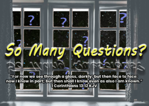 Read more about the article So Many Questions