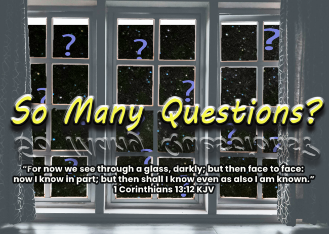 Read more about the article So Many Questions