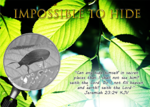 Read more about the article Impossible To Hide
